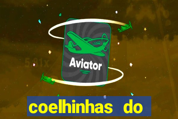 coelhinhas do brasil site